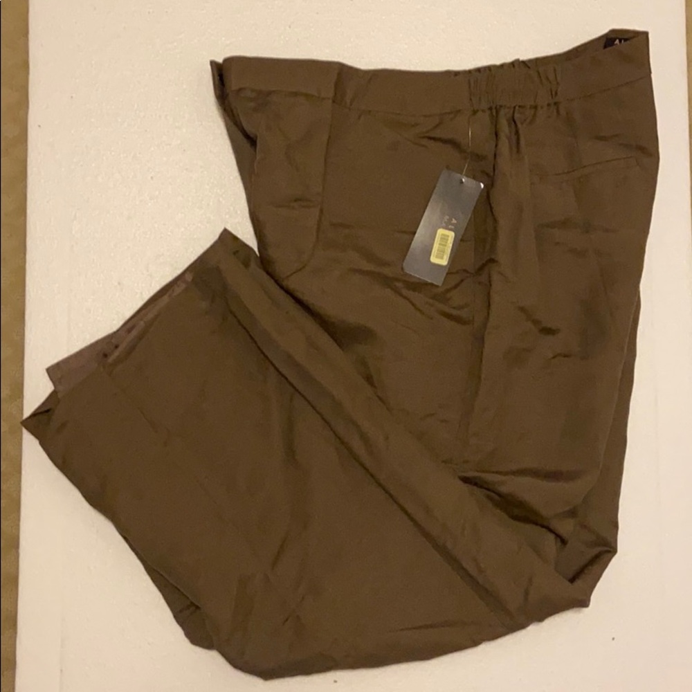 NWT Alex Marie lined linen pants. 16w